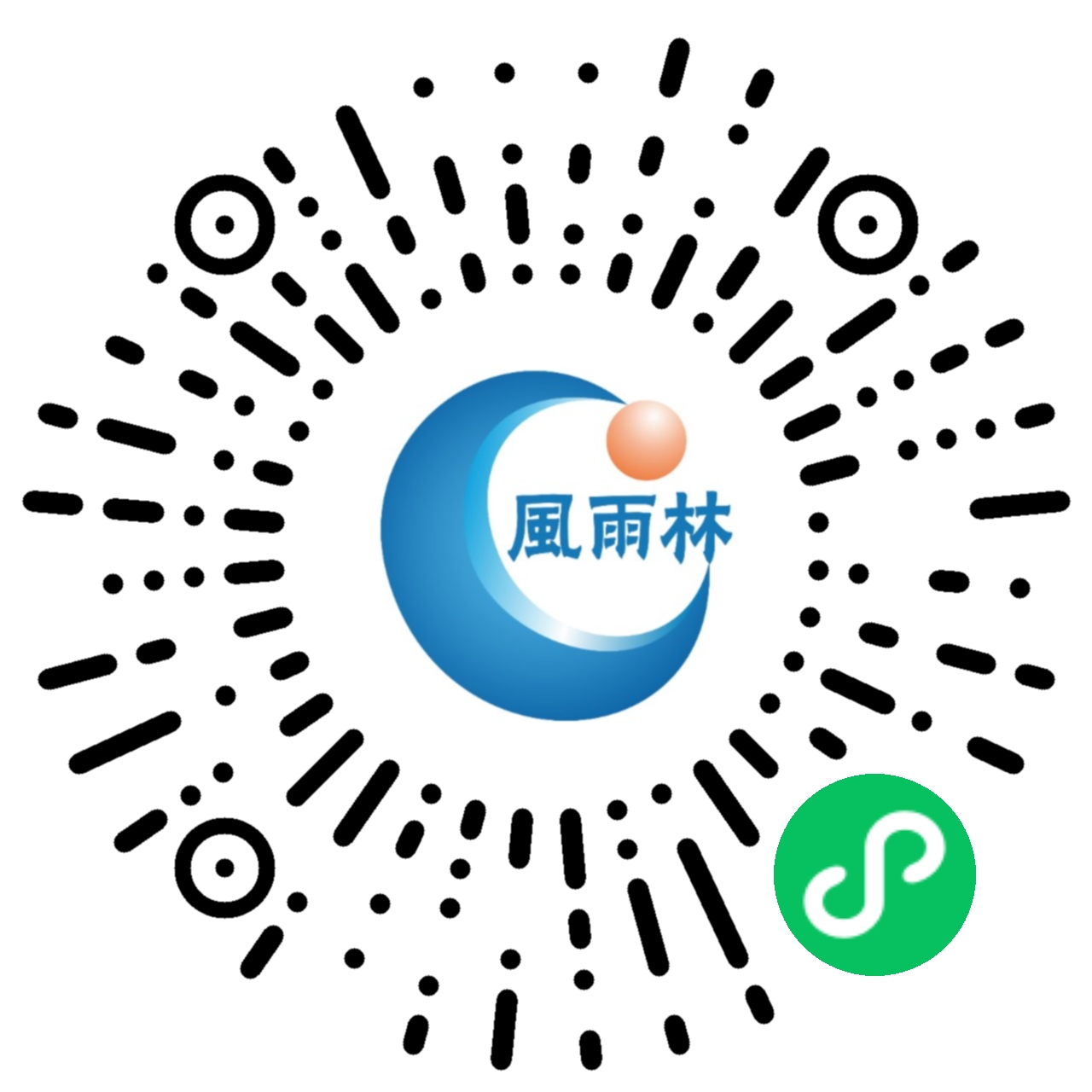 风雨林职场